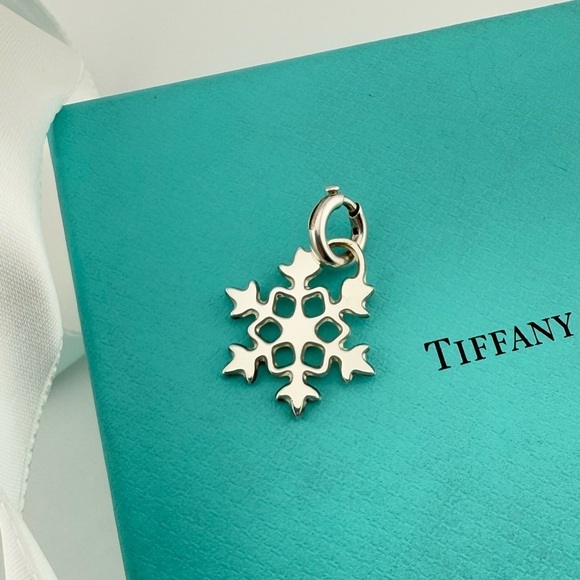 Tiffany & Co. Snowflake Charm in Sterling Silver with Clasping Link - Picture 1 of 5